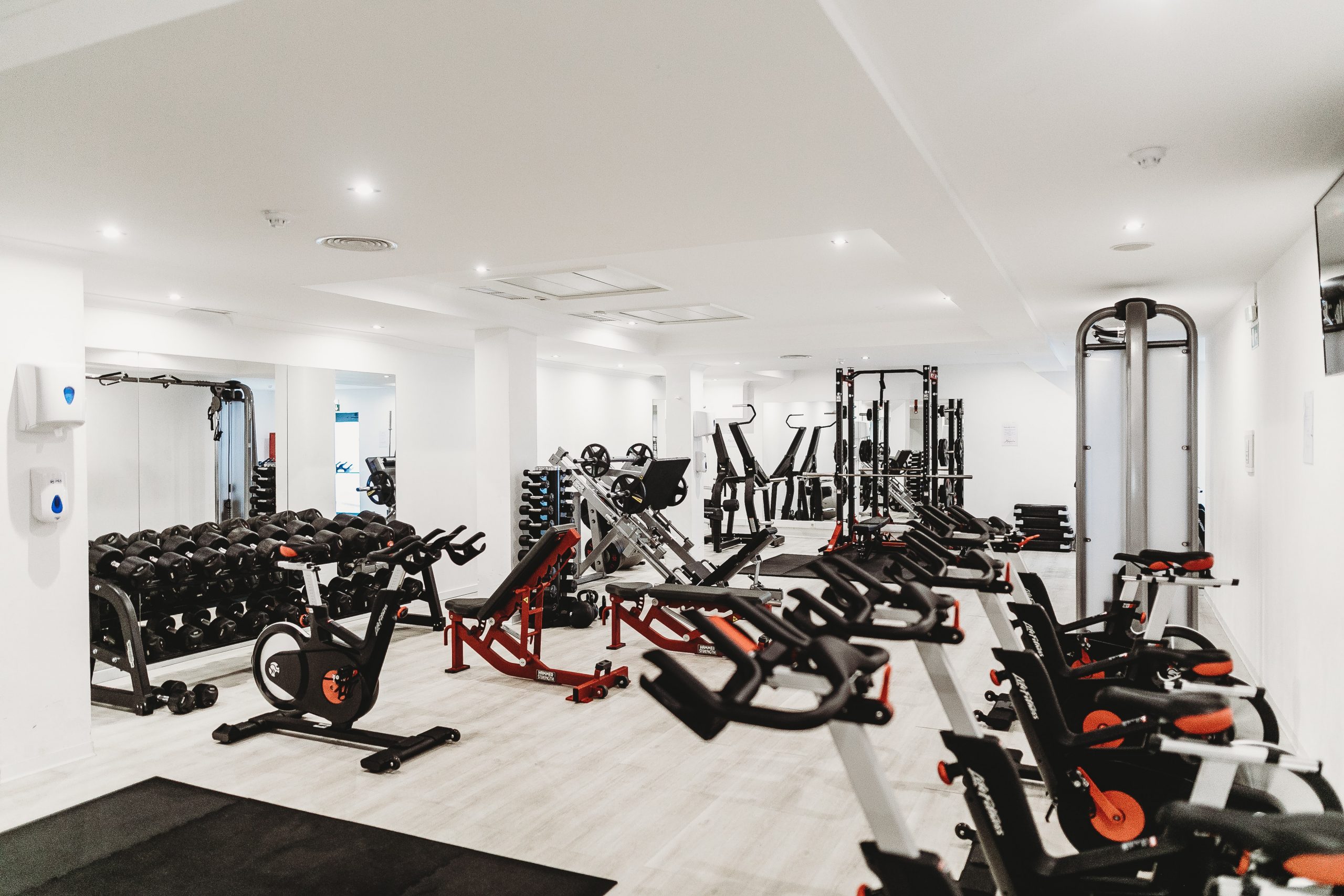Main Types of Exercise Equipment